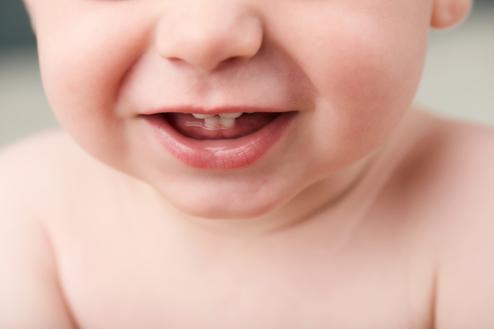 8 Month Old Baby Teeth Development: Everything You Need to Know